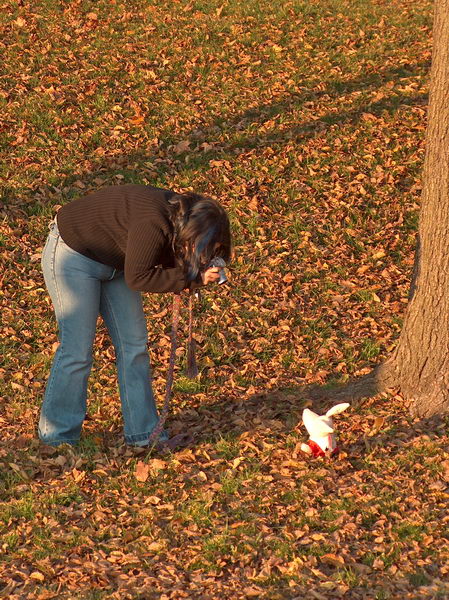 Slečna fotí plyšového zajíčka, že by Amélie z Montmartru poslala po světě dalšího trpaslíka?
