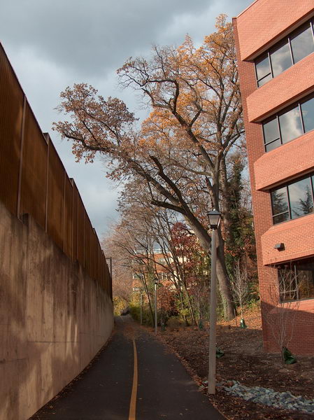 cyklostezka. Nenaklání se ten dům trochu?