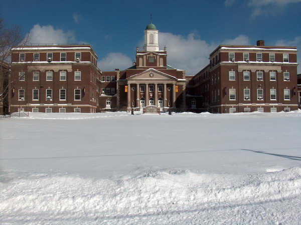 Škoda, že nemám běžky na cestu do školy...