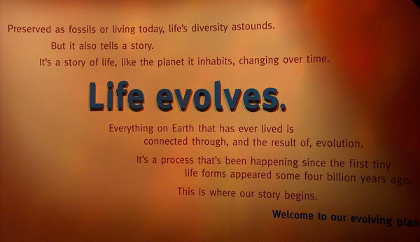 Entrance to Evolution exhibit