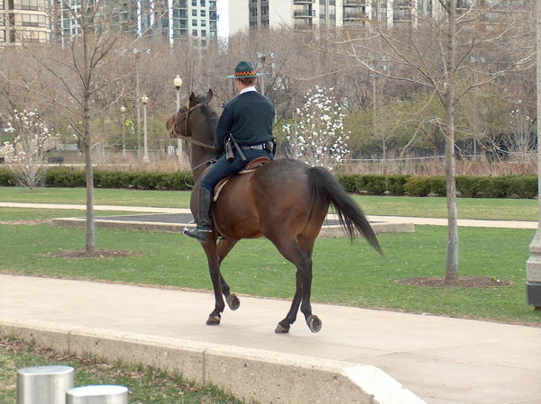 Mounted Policeman