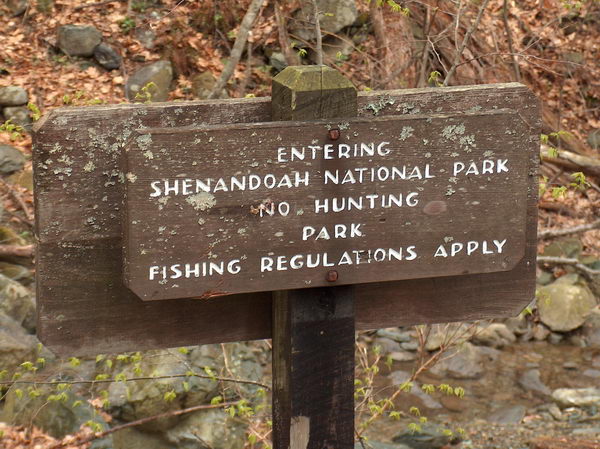 Entering Shenandoah NP