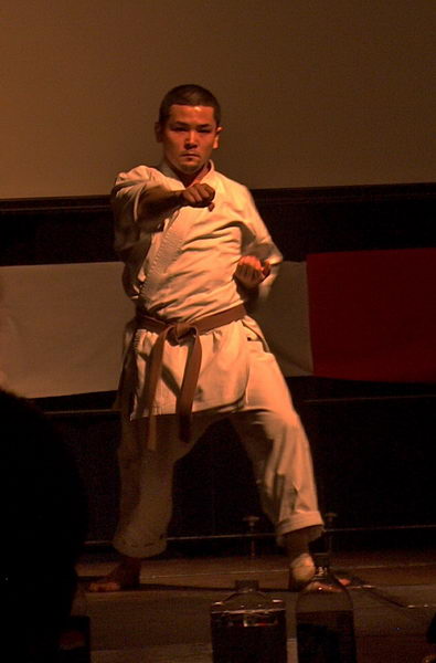 Ukázka karate