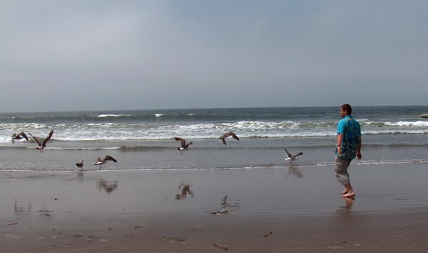 you can chase sea gulls...