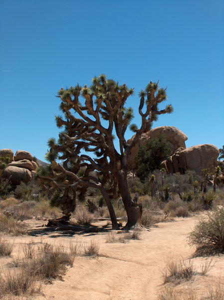 This must be an old guy...