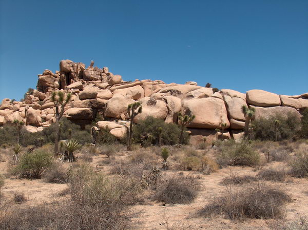 These are a bit boring, but there are some other: