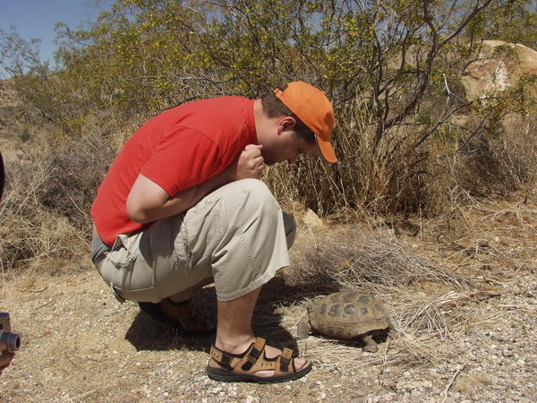 Look but don't touch