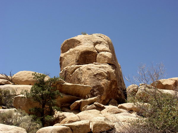This rock looks more like a face