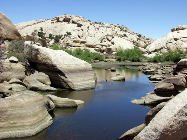 So there is a dam, after all! In the middle of desert! That explains how come there could be so much wildlife
