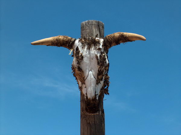 I mean really stylish;-)