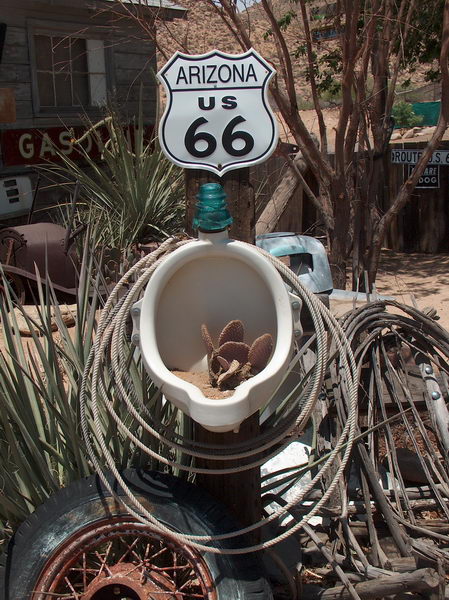 Would you like to contribute a little liquid to our cactoo?