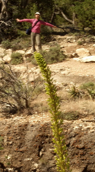 Imelda standing on a flower