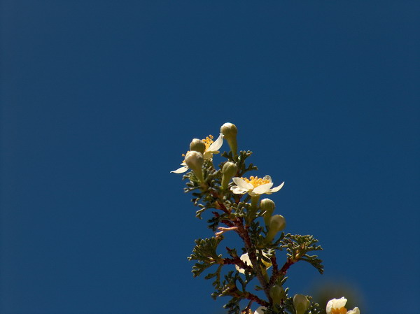 More of Imelda's artwork