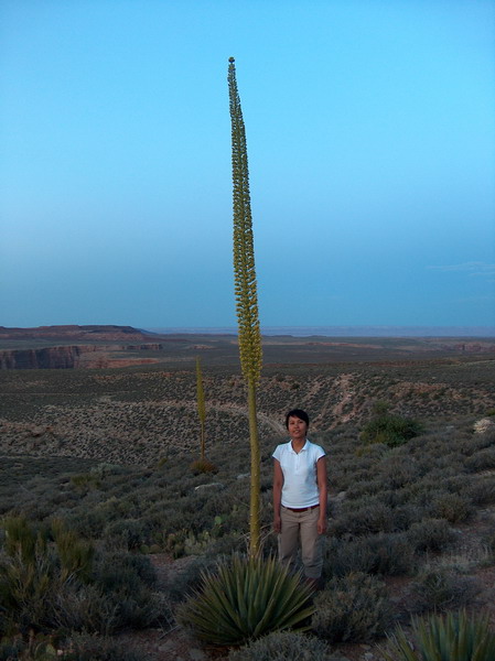 I mean, really tall...