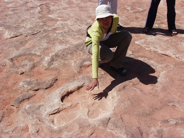 Dinosaur track