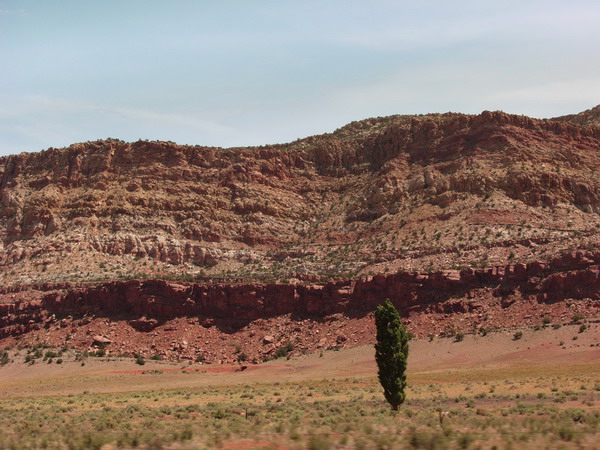 Arizona landscape