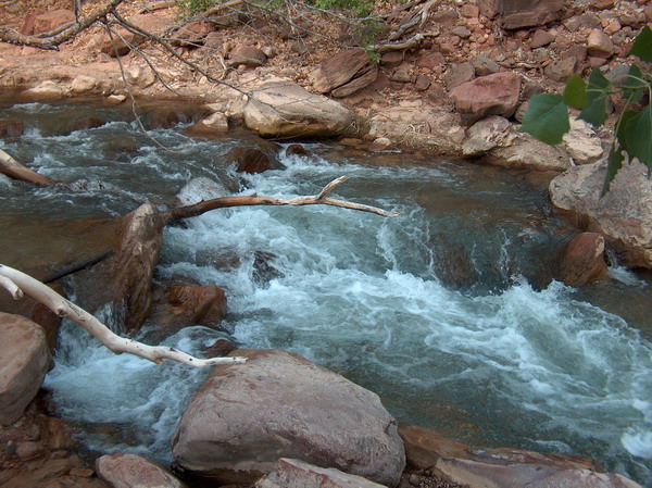 There was a nice creek flowing near the campsite...