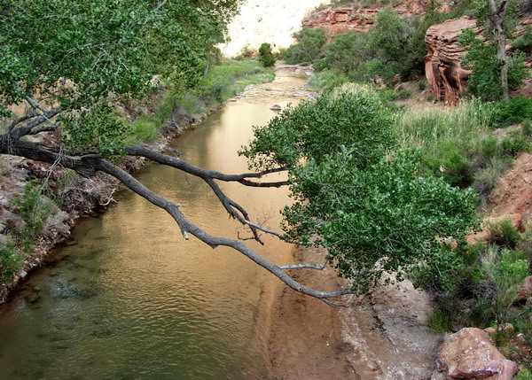 Crystal clear water in the creek