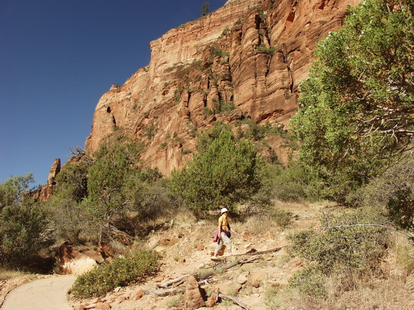 Easy stroll in the valley