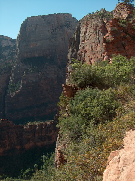 View from the Scout's Lookout, half way. From here the trail forks, either to Angel's Landing or continues to West Rim Trail.