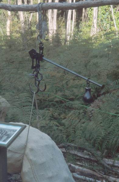 Tábořiště - pracoviště gum diggerů