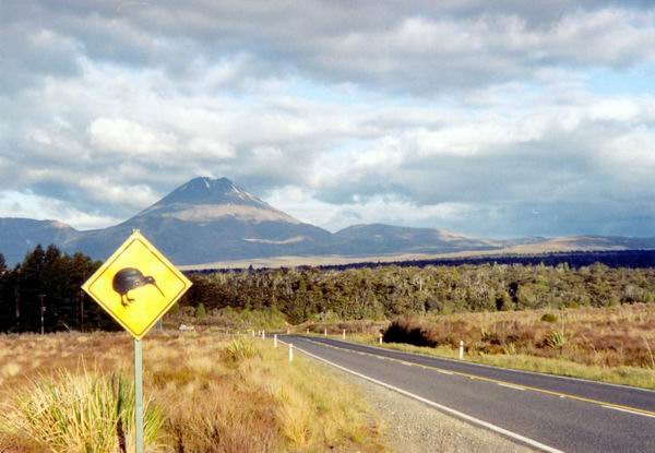 Schválně, z které země je takhle fotka:-)?