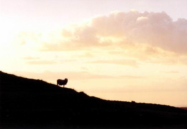 A z které země je tohle:-)?