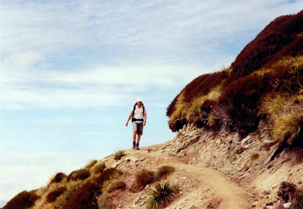 Dikouš si vykračuje po Kepler's Tracku...