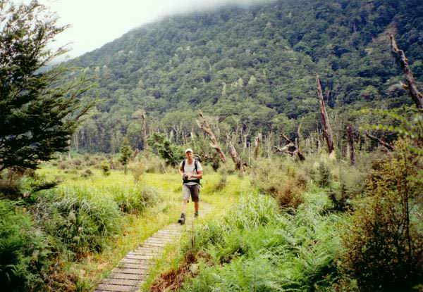 Dikouš si mašíruje po cestičce