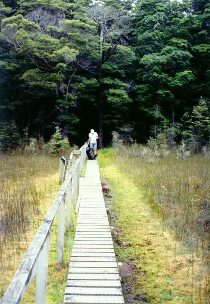 Zpevněná stezka močálem