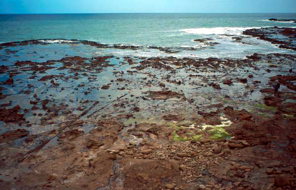 Curio Bay - zkamenělá pláž