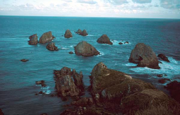 Nugget Point